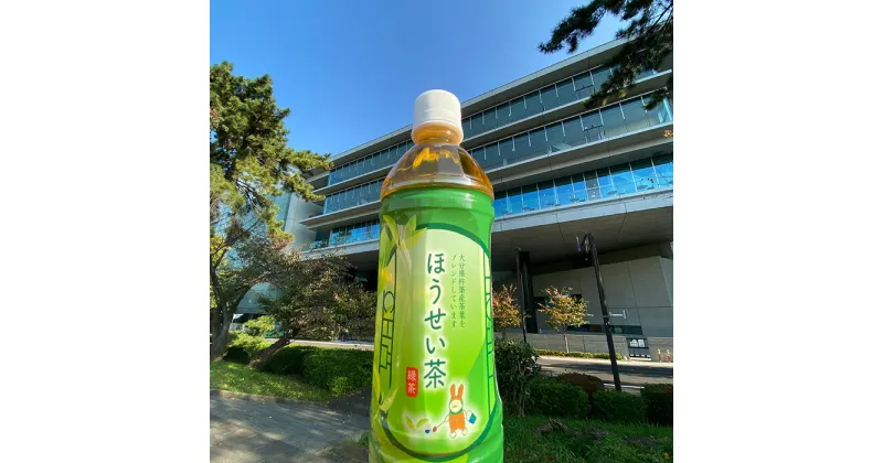 【ふるさと納税】法政大学オリジナル緑茶「ほうせい茶」（杵築産茶葉使用）＜142-001_5＞