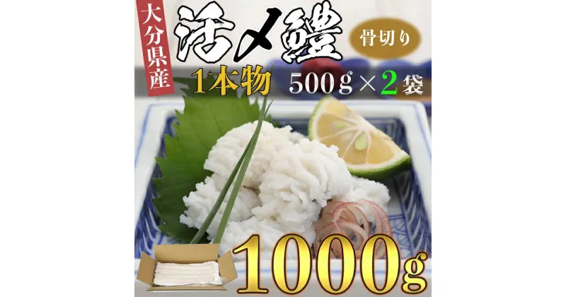 【ふるさと納税】大分県産活じめ鱧（はも）1本物 骨切り切身 たっぷり 1000g 湯引き 天ぷら しゃぶしゃぶ 鍋 魚 海鮮 ＜108-006_5＞