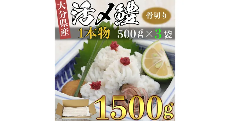 【ふるさと納税】大分県産活じめ鱧（はも）1本物 骨切り切身 たっぷり 1500g 湯引き 天ぷら しゃぶしゃぶ 鍋 魚 海鮮 ＜108-007_5＞