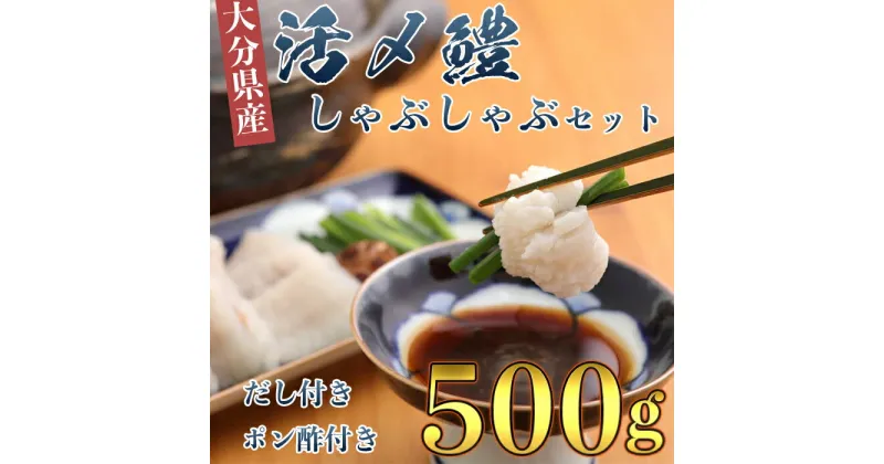 【ふるさと納税】大分県産活じめ鱧（はも）しゃぶしゃぶセット 500g 鱧しゃぶ 湯引き 鱧鍋 鱧しゃぶセット しゃぶしゃぶ 骨切り 天然鱧 冷凍 ＜108-009_5＞