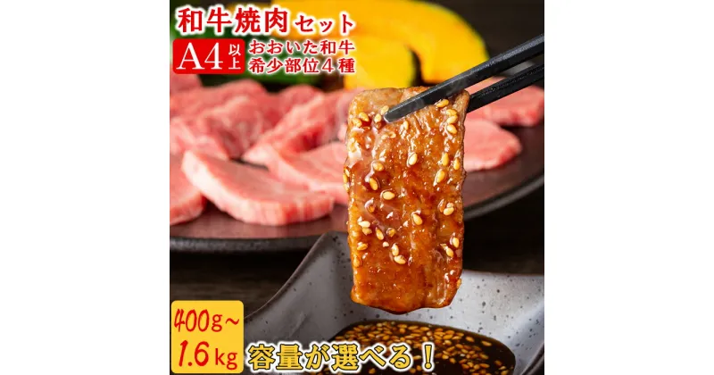 【ふるさと納税】おおいた和牛希少部位4種焼肉セット[匠牧場]【容量が選べる！】400g〜1.6kg 牛肉 焼肉 牛 焼肉用 和牛 おすすめ 国産 赤身 おおいた和牛 バーベキュー ＜102-702＞