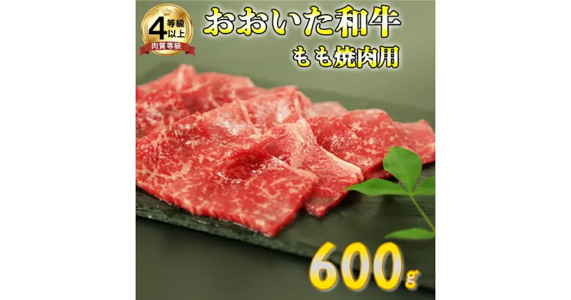 【ふるさと納税】おおいた和牛もも焼肉用 600g＜123-001_5＞