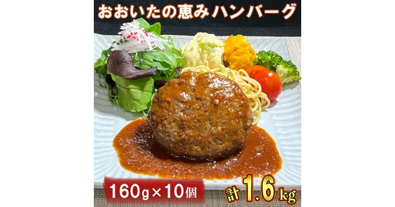 【ふるさと納税】おおいたの恵みハンバーグ1.6kg[160g×10個] ハンバーグ 冷凍 レンジ 大分の恵みハンバーグ ハンバーグ 国産 人気 牛肉 冷凍 豚肉 牛 ＜130-001_5＞