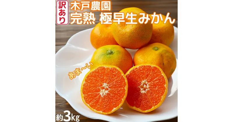 【ふるさと納税】【訳あり品】完熟極早生みかん！木戸農園の「おおいた早生 約3kg」 ミカン みかん 柑橘 3kg 先行予約 10月 11月 フルーツ ＜113-013_5＞