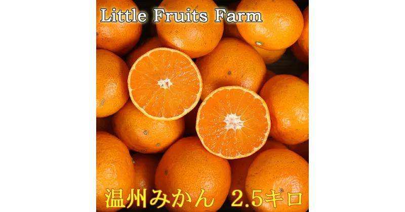 【ふるさと納税】【訳あり品】リトルフルーツファームの温州みかん 約2.5kg 訳あり みかん 柑橘類 11月 12月 1月 先行予約 2.5kg 温州みかん フルーツ 果物 ＜116-005_5＞