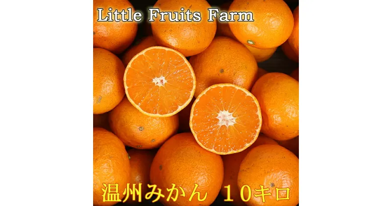 【ふるさと納税】【訳あり品】リトルフルーツファームの温州みかん 約10kg 訳あり みかん 柑橘類 11月 12月 1月 先行予約 10kg 温州みかん フルーツ 果物 ＜116-007_5＞