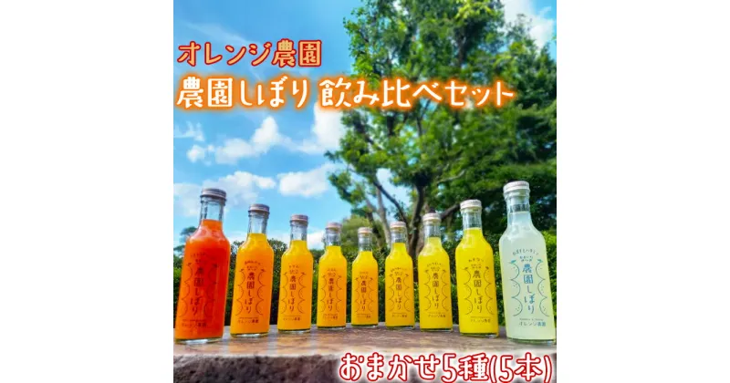 【ふるさと納税】オレンジ農園の柑橘ジュース「農園しぼり」おまかせ5種 飲み比べ セット ＜114-007_5＞