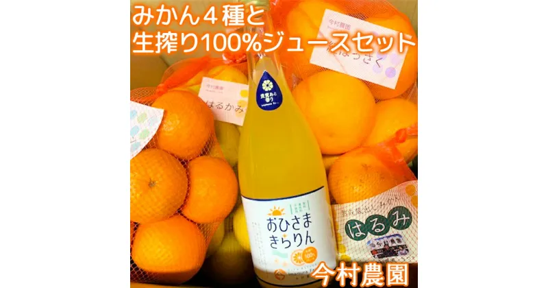 【ふるさと納税】今村農園のみかん4種（計約8kg）とおひさまきらりん 生搾り100%ジュースセット 先行予約 2月発送 柑橘類 フルーツ 食べ比べ たべくらべ ＜107-041_5＞