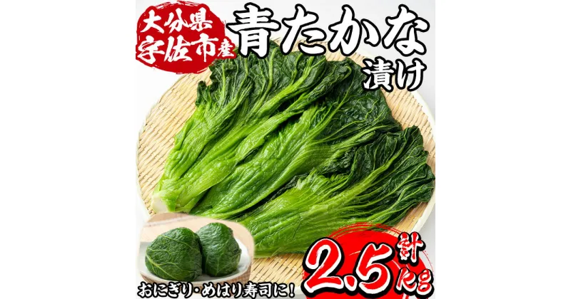 【ふるさと納税】自家農園栽培 青たかな漬け(2.5kg)たかな 高菜 ちりめん高菜 漬物 漬け物 ご飯のお供 おにぎり 自家農園 大分県産【103200100】【松本漬物】