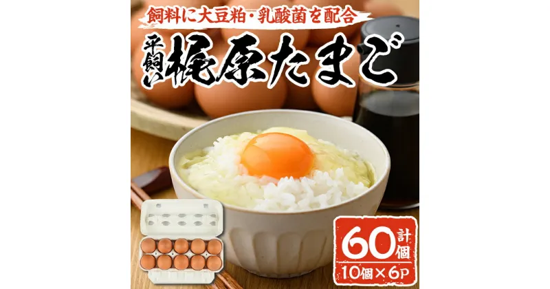 【ふるさと納税】梶原たまご(計60個・10個×6P)卵 玉子 鶏卵 卵かけご飯 玉子焼き【108800200】【カジワラファーム】