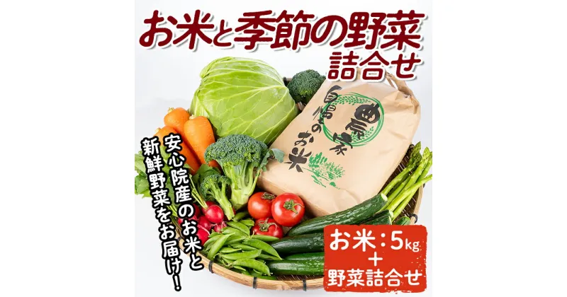 【ふるさと納税】産地直送！安心院のお米と季節の野菜詰合せ(お米5kg＋野菜詰め合わせ)米 お米 野菜 季節の野菜 詰合せ 安心院産 大分県産【103700100】【小の岩の庄】