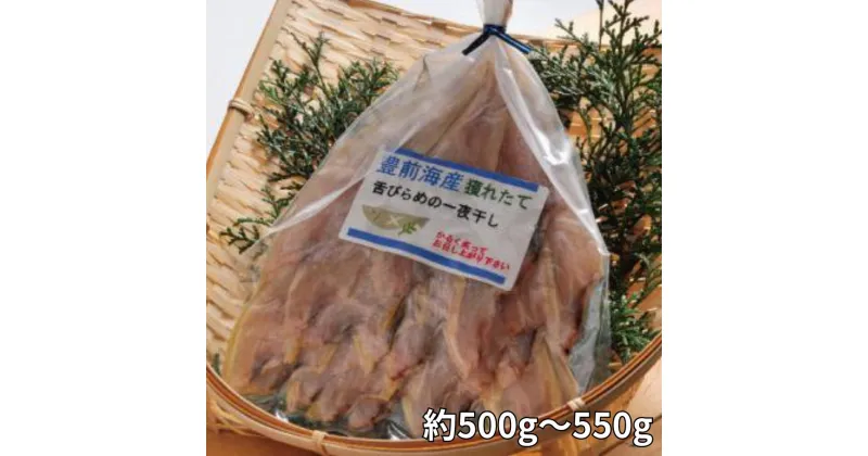 【ふるさと納税】大分県産 舌ビラメ一夜干し(計約500g・3~5枚入×3袋) 魚介 ヒラメ 冷凍 一夜干し 甘塩 干物 【101900300】【上野水産】