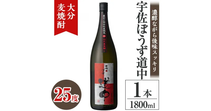 【ふるさと納税】宇佐ぼうず道中 ビン 25度(1.8L)酒 お酒 むぎ焼酎 1800ml 麦焼酎 アルコール 飲料 常温【106101900】【酒のひろた】