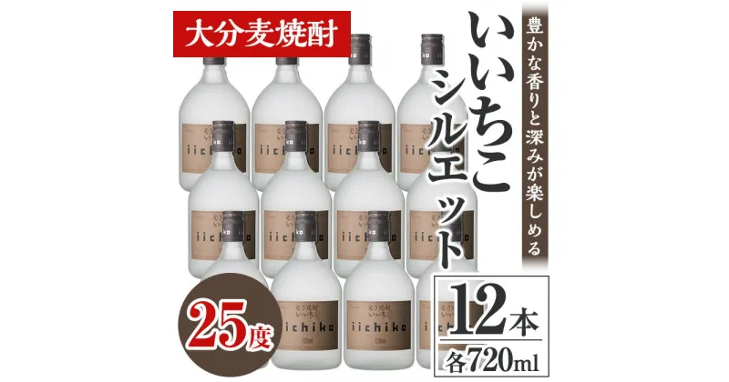 【ふるさと納税】いいちこシルエット 25度(計8.64L・720ml×12本)酒 お酒 むぎ焼酎 720ml 麦焼酎 いいちこ アルコール 飲料 常温【106105100】【酒のひろた】