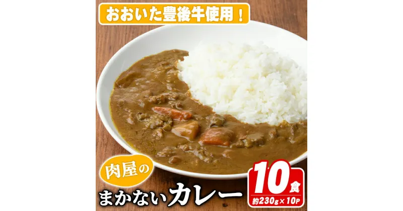 【ふるさと納税】肉屋のまかない豊後牛カレー(計2.3kg・230g×10P) カレー レトルト レトルトカレー 簡単調理 湯煎調理 ビーフカレー おおいた豊後牛 ご当地カレー【110200200】【吉野】