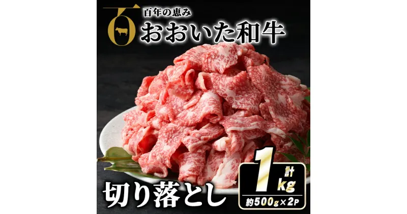 【ふるさと納税】おおいた和牛切り落とし(計1kg・500g×2P) 牛肉 お肉 ウデ モモ バラ 切り落とし 切り落し 切落し こま切れ すき焼き 肉じゃが おおいた和牛 和牛 霜降り【110201001】【吉野】