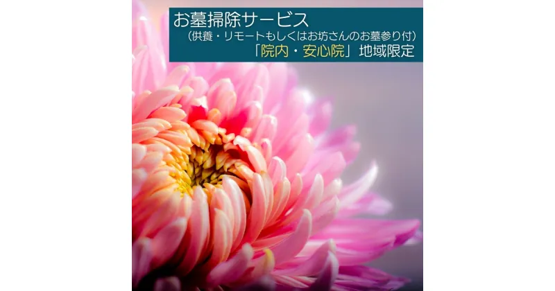 【ふるさと納税】お墓掃除サービス(供養・リモート若しくはお坊さんのお墓参り付 宇佐市院内・安心院内限定)掃除 供養 清掃 代行 お墓 地域限定【107200400】【NPO法人　スポーツクラブグレートサラマンダー】