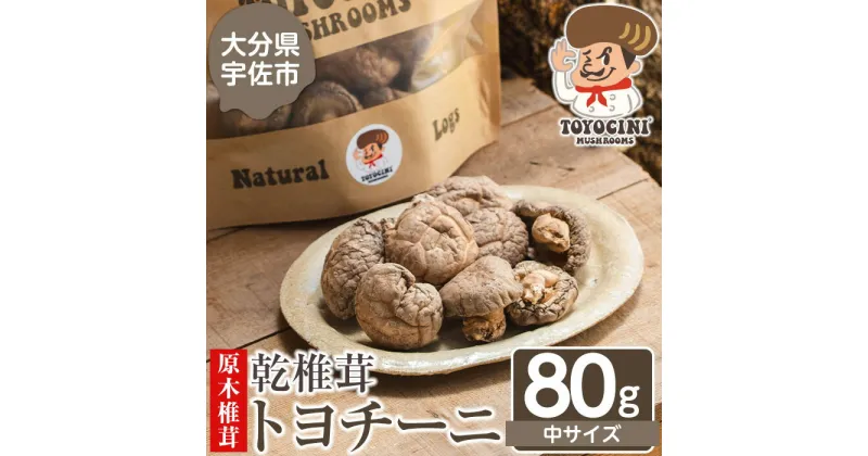 【ふるさと納税】乾椎茸 トヨチーニ・中サイズ(80g)しいたけ 干し椎茸 原木椎茸【110300200】【松重　拓志】