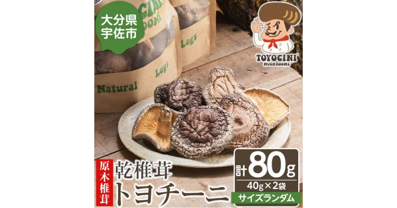 【ふるさと納税】乾椎茸 トヨチーニ・サイズランダム(計80g・40g×2袋)しいたけ 干し椎茸 原木椎茸【110300400】【松重　拓志】