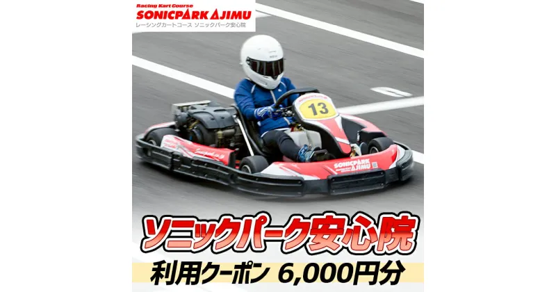 【ふるさと納税】ソニックパーク安心院利用クーポン(6,000円分)クーポン 体験 アウトドア レーシング場 レーシングコース【106500100】【ガリレオレーシング】