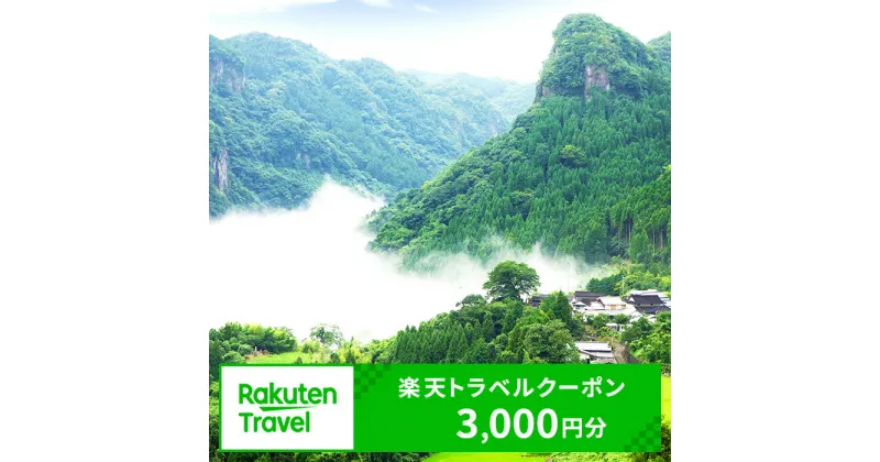 【ふるさと納税】楽天トラベルクーポン 3,000円分【111900100】【楽天グループ】