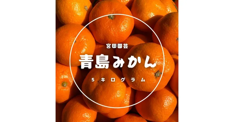 【ふるさと納税】青島みかん(5kg)みかん 蜜柑 フルーツ 果物 くだもの 柑橘 期間限定【112300300】【宮田園芸】