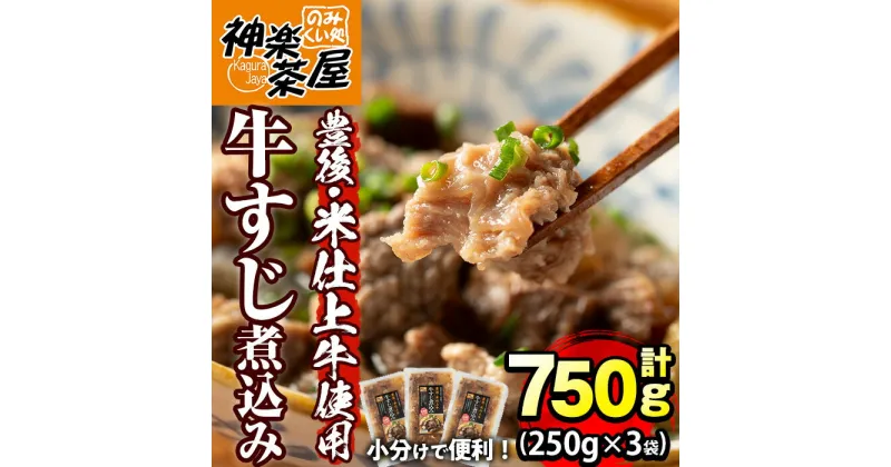 【ふるさと納税】豊後米仕上げ牛 牛すじ煮込み(計750g・250g×3パック)牛肉 お肉 おかず おつまみ 小分け 簡単調理 時短 冷凍 惣菜【111100200】【神楽茶屋】