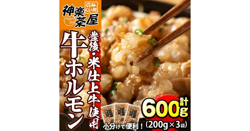 【ふるさと納税】豊後米仕上げ牛 牛ホルモン炒め(計600g・200g×3パック)牛肉 お肉 小腸 おかず おつまみ 小分け 簡単調理 時短 惣菜【111100500】【神楽茶屋】