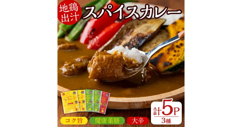 【ふるさと納税】大分地鶏豊のしゃも地鶏出汁スパイスカレー(計900g・180g×5パック)レトルト 簡単調理 惣菜 時短 常温 ご当地カレー【112400300】【天峯ファーム】