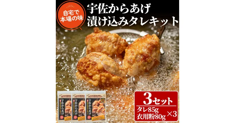 【ふるさと納税】うっかり八兵衛 宇佐からあげ漬け込みタレキット たっぷり鶏肉1.5kg分(合計495g・165g×3セット)唐揚げ から揚げ 漬け込みタレ 簡単 キット 本場の味【109200100】【ナルミ総合企画】