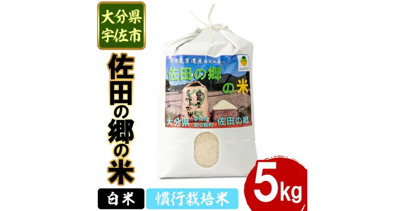 【ふるさと納税】＜先行予約受付中！2024年10月中旬より順次発送＞＜新米・令和6年産＞佐田の郷の米 慣行栽培米(5kg)お米 白米 ごはん ブランド米 常温 常温保存【111700101】【雅設置プロジェクト　佐田の郷の会】