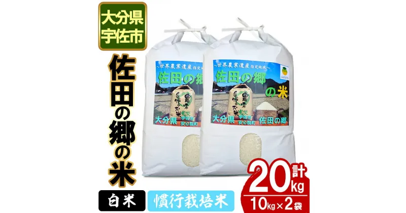 【ふるさと納税】＜先行予約受付中！2024年10月中旬より順次発送＞＜新米・令和6年産＞佐田の郷の米 慣行栽培米(20kg)お米 白米 ごはん ブランド米 常温 常温保存【111700301】【雅設置プロジェクト　佐田の郷の会】