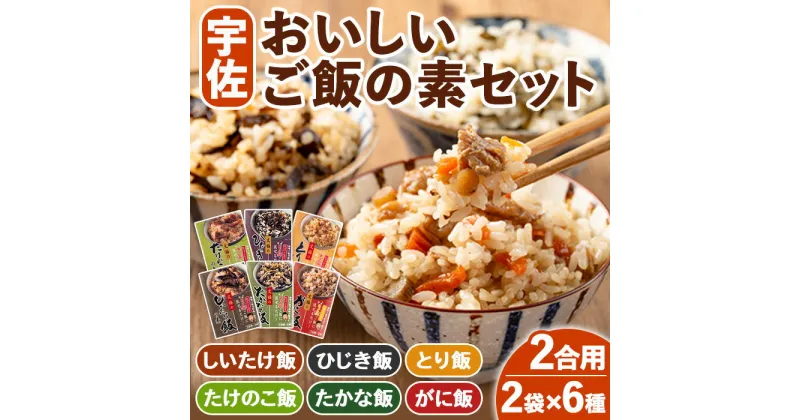 【ふるさと納税】宇佐おいしいご飯の素セット(6種×各2袋)ご飯の素 混ぜご飯 簡単 時短 おにぎり お弁当 郷土料理 食べ比べ セット【102200200】【観光館　文福】