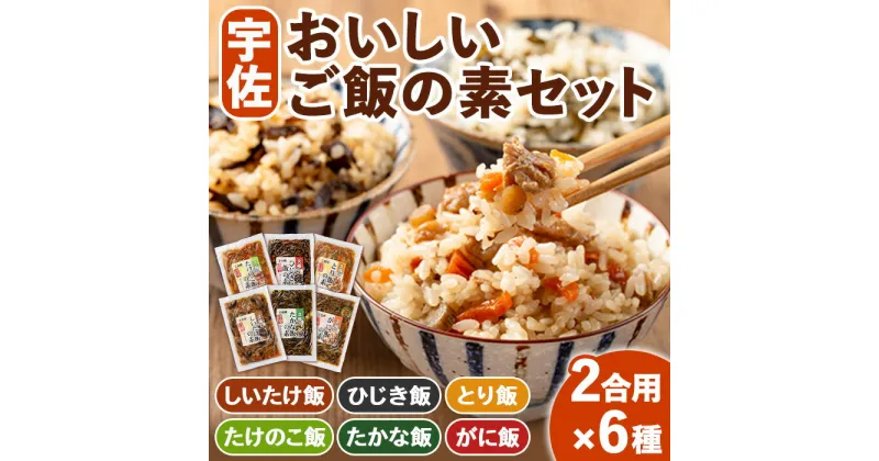 【ふるさと納税】宇佐おいしいご飯の素セット(6種)ご飯の素 混ぜご飯 簡単 時短 おにぎり お弁当 郷土料理 食べ比べ セット【102200100】【観光館　文福】