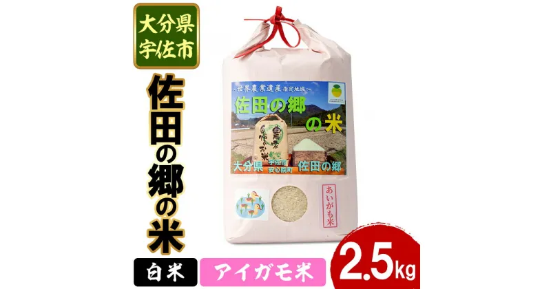 【ふるさと納税】＜先行予約受付中！2024年10月中旬より順次発送＞＜新米・令和6年産＞佐田の郷の米 アイガモ米(2.5kg)お米 白米 ごはん ブランド米 常温 常温保存【111700400】【雅設置プロジェクト　佐田の郷の会】