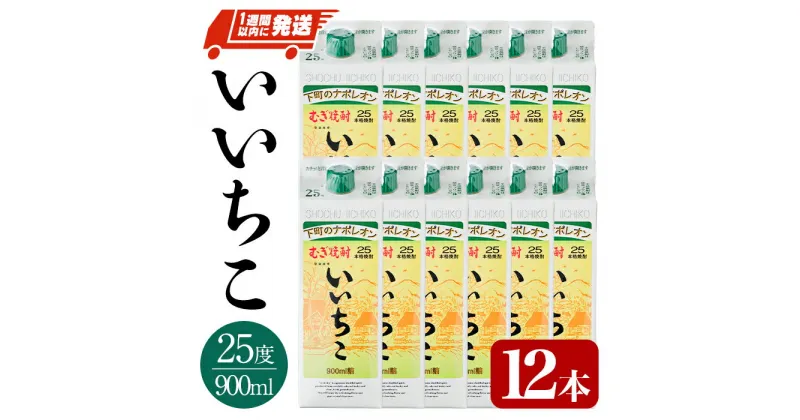 【ふるさと納税】いいちこ 25度 パック(計10.8L・900ml×12本)酒 お酒 むぎ焼酎 900ml 麦焼酎 常温 いいちこ 三和酒類 紙パック【107304400】【時枝酒店】