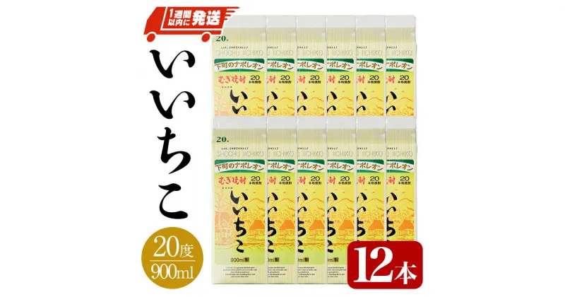 【ふるさと納税】いいちこ 20度 パック(計10.8L・900ml×12本)酒 お酒 むぎ焼酎 1800ml 麦焼酎 常温 いいちこ 三和酒類 紙パック【107304000】【時枝酒店】