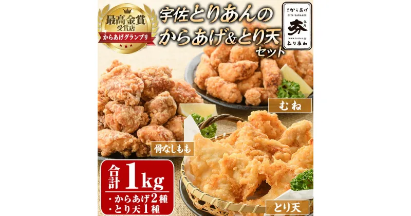 【ふるさと納税】＜からあげグランプリ最高金賞＞宇佐 とりあんのからあげ・大分名物鶏天セット(合計1kg・3種)から揚げ からあげ 鶏天 とり天 簡単 冷凍 惣菜 お弁当 おかず おつまみ 名物 セット【1035100200】【BOROYA】