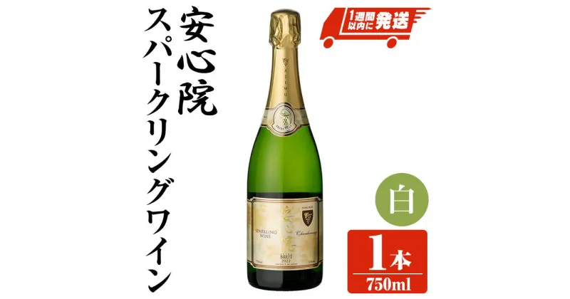 【ふるさと納税】安心院スパークリングワイン 白(750ml)酒 お酒 ワイン 白ワイン スパークリングワイン アルコール 飲料 ぶどう 葡萄【107300500】【時枝酒店】