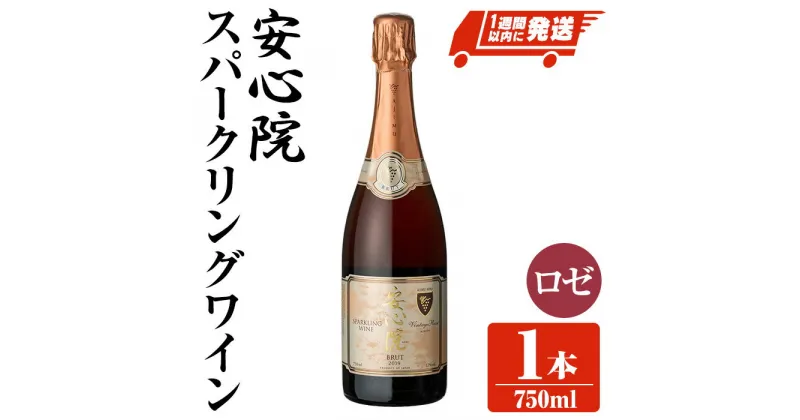 【ふるさと納税】安心院スパークリングワイン ロゼ(750ml)酒 お酒 ワイン ロゼ アルコール 飲料 ぶどう 葡萄【107301000】【時枝酒店】