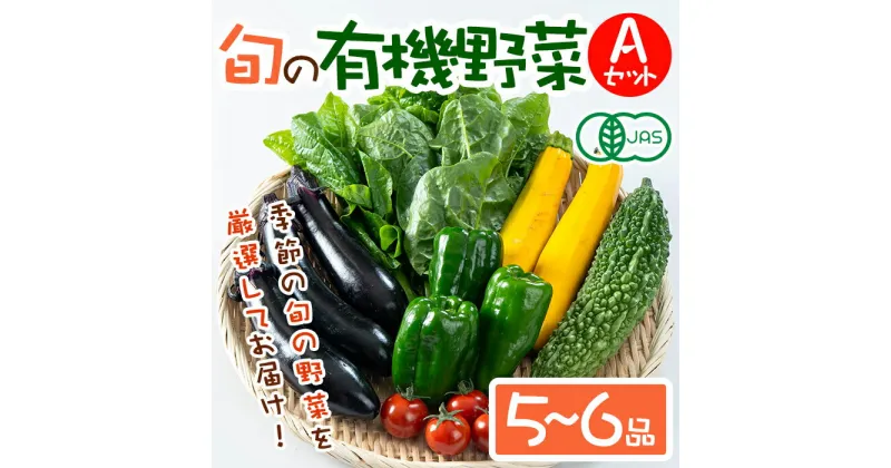 【ふるさと納税】旬の有機野菜セットA(5〜6品)やさい 詰合せ 詰め合わせ 季節 おまかせ お楽しみ【114500100】【さとう有機農園】