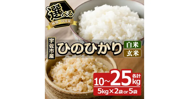【ふるさと納税】＜種類・容量を選べる＞＜令和6年産・新米＞ひのひかり 白米 玄米(各計10kg or 25kg)お米 10キロ 25キロ ヒノヒカリ 美白米 真空パック 真空包装 【114900101・114900201・114900301・114900401】【祥田産業】
