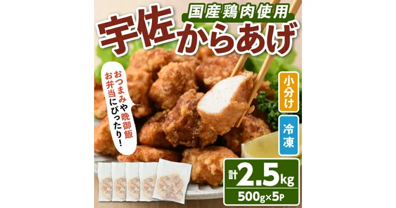 【ふるさと納税】サクッとジューシー宇佐から揚げセット(計2.5kg・500g×5P)唐揚げ から揚げ 簡単 冷凍 惣菜 お弁当 おかず おつまみ 揚げるだけ セット【102000700】【サンセイ　安心院ソーセージ】