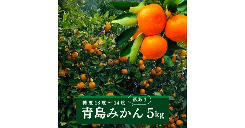 【ふるさと納税】＜先行予約受付中！2025年2月上旬より順次発送予定＞＜訳あり＞みかん青島(約5kg・補償分0.3kg)みかん ミカン 蜜柑 柑橘 フルーツ 果物 くだもの 果実【109800301】【高橋　憲明】