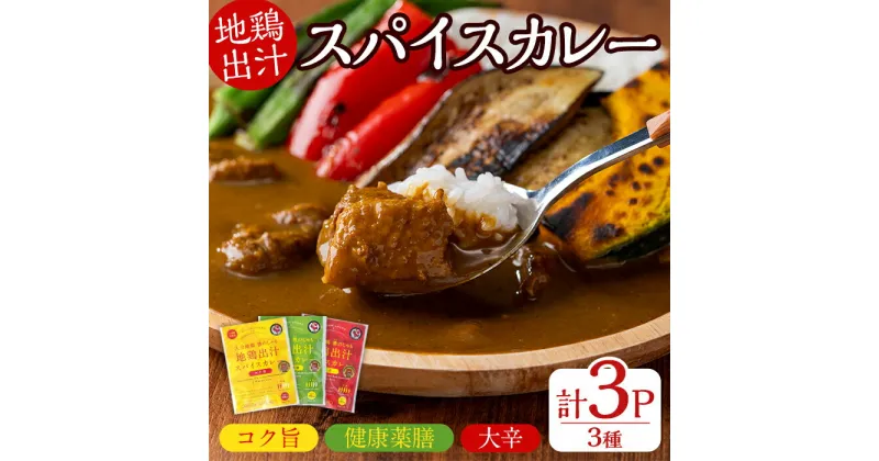 【ふるさと納税】大分地鶏豊のしゃも地鶏出汁スパイスカレー3種セット(合計540g・180g×3パック)レトルト 簡単調理 ご当地カレー【112400200】【天峯ファーム】