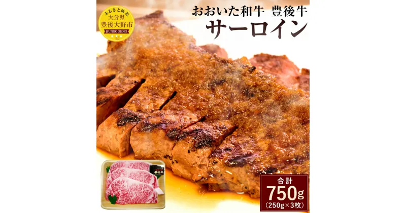 【ふるさと納税】おおいた和牛 豊後牛 サーロイン 250g×3枚 合計750g 国産 サーロインステーキ A4ランク 牛肉 九州産 大分県産黒毛和牛 送料無料