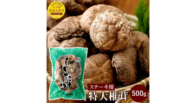 【ふるさと納税】【ステーキ用】特大椎茸 500g 大分県豊後大野市産 しいたけ 干ししいたけ 九州 原木栽培 送料無料