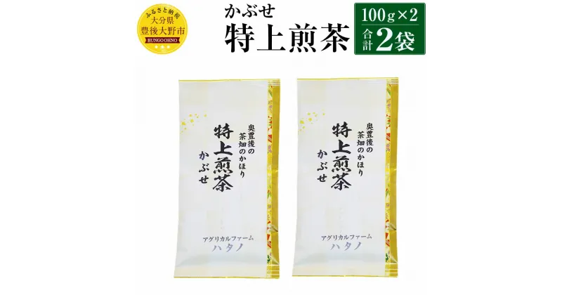 【ふるさと納税】特上煎茶 かぶせ 100g×2袋 200g 大分県産 お茶 日本茶 茶葉 セット エコファーマー認定農家 減農薬 減化学肥料栽培