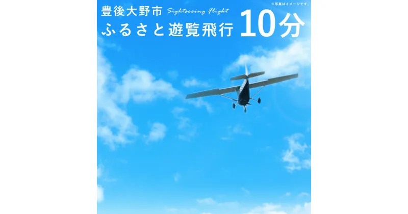 【ふるさと納税】豊後大野市ふるさと遊覧飛行 10分 3人まで搭乗可能 セスナ 飛行機 貸し切り 観光