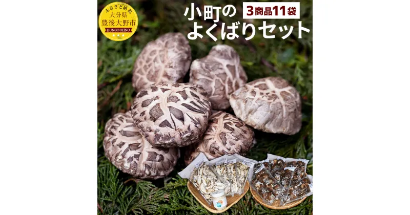 【ふるさと納税】小町のよくばりセット どんこ乾椎茸(45g×6パック) スライス椎茸(30g×4パック) なしこのなばこ(粉末)(45g×1本) 国産 セット 九州産 どんこ しいたけ 大分県 乾椎茸 干しシイタケ 送料無料